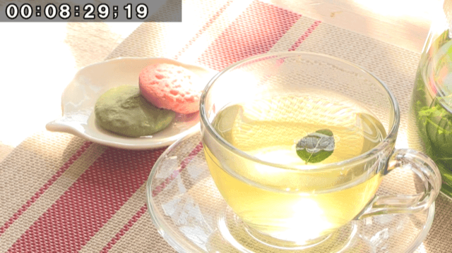 【オンライン講座】緑と水の市民カレッジ「こんなに楽しいハーバルライフ」