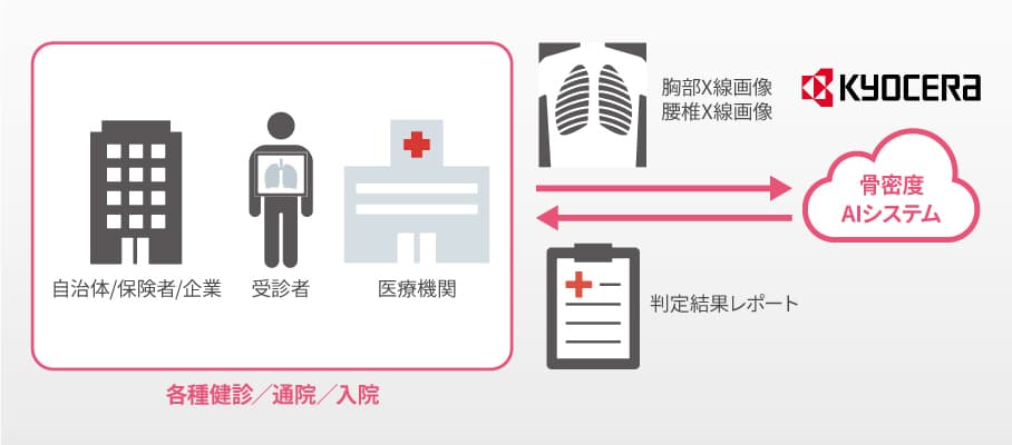 京セラが「AI骨粗しょう症診断補助システム」の実用化を目指し 東京大学と「運動器AIシステム開発学講座」を開設