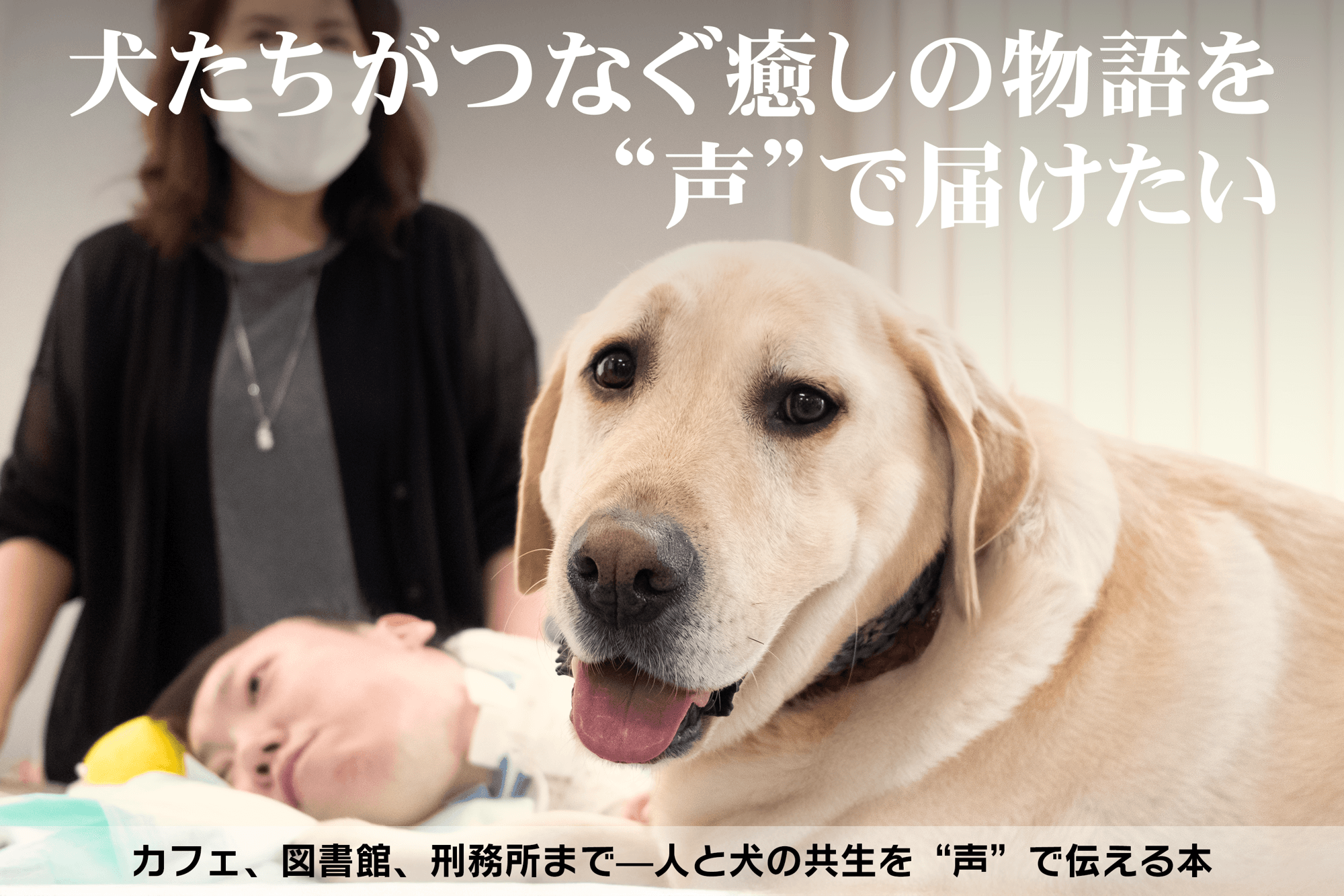 声で届ける癒しの物語 ― アニマルセラピー書籍プロジェクト、図書館へ