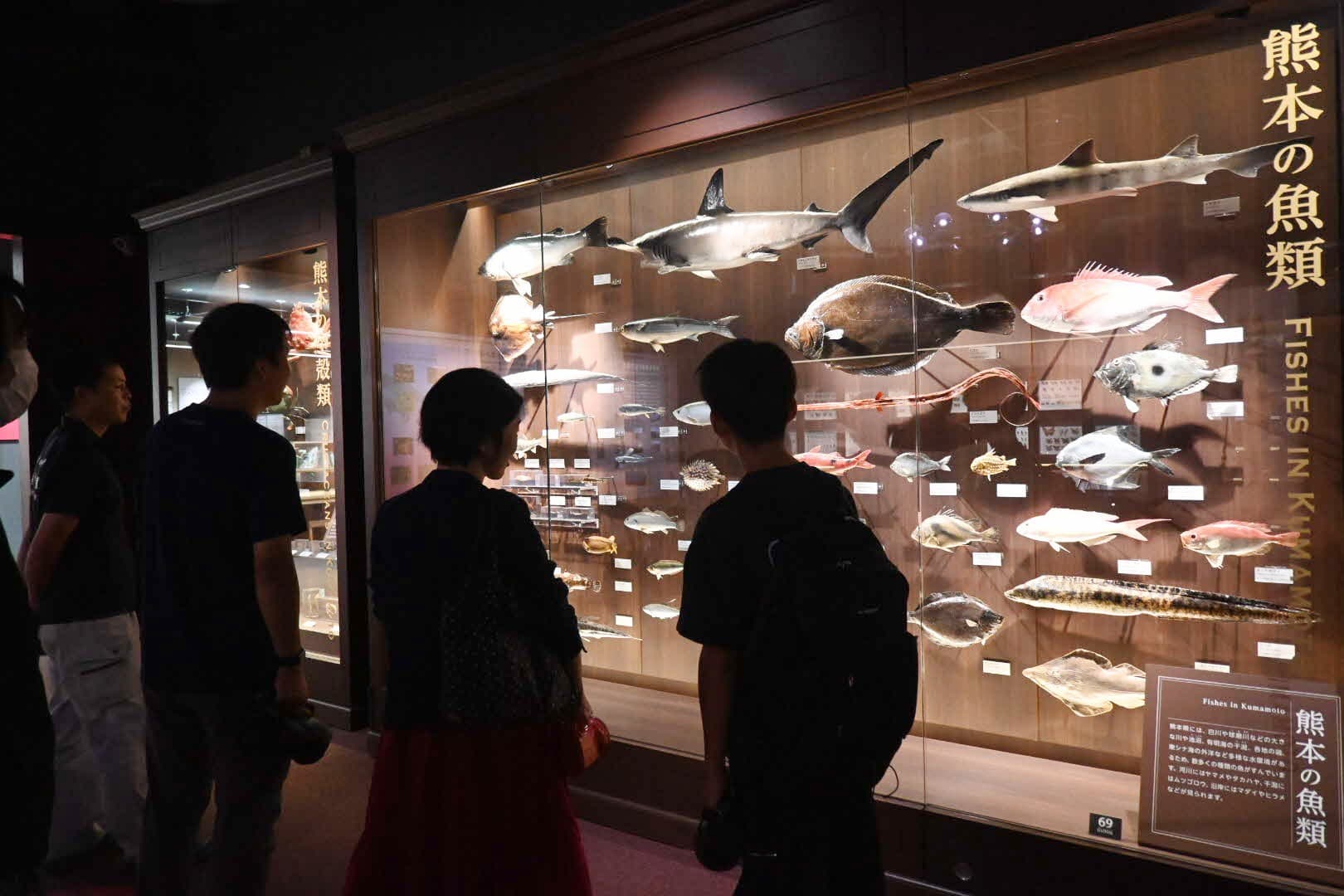 くまもとアプリ プレミアムナイトミュージアム 〜夜の博物館で“探検”と“発見”を楽しむ特別なひととき〜