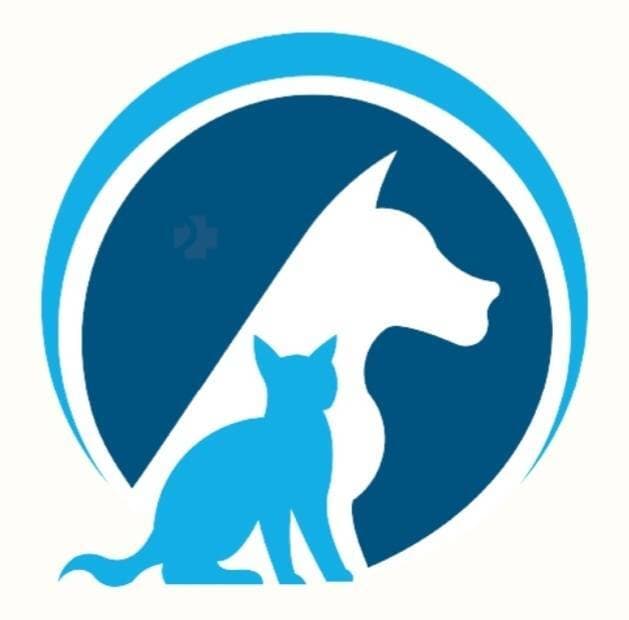 ふわふわペットタクシー【横浜】全国
