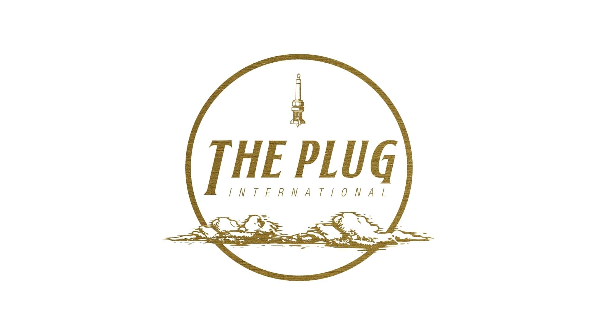 THE PLUG INTERNATIONAL