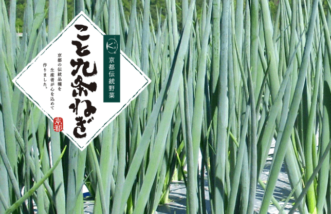 「こと九条ねぎ」が日本青果物ブランドに認定！ ～日本の農業の活性化、次世代への継承を推進していく～