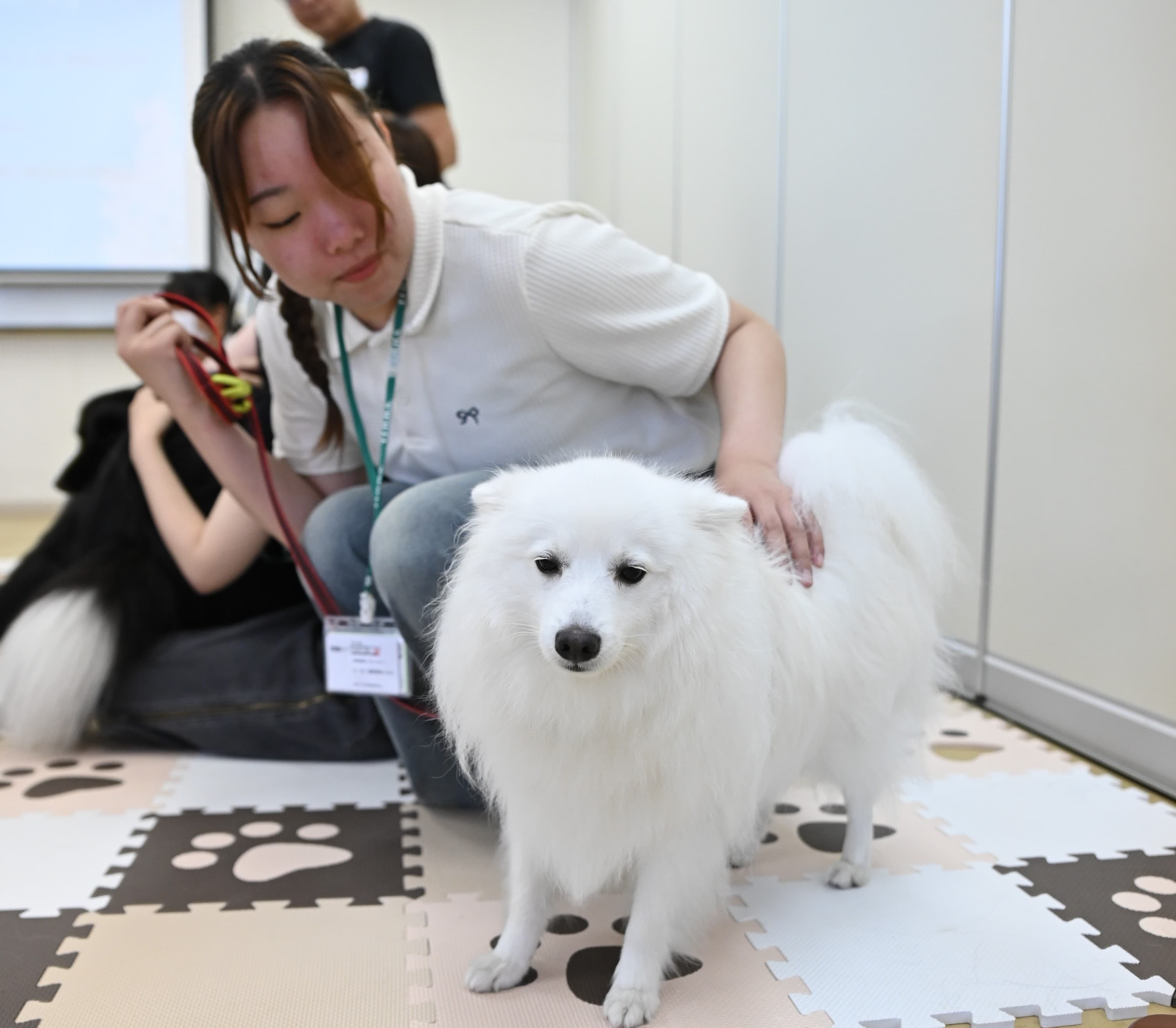 【玉野総合医療専門学校】 新時代のリハビリ体験 動物リハビリ、玉野医専で！