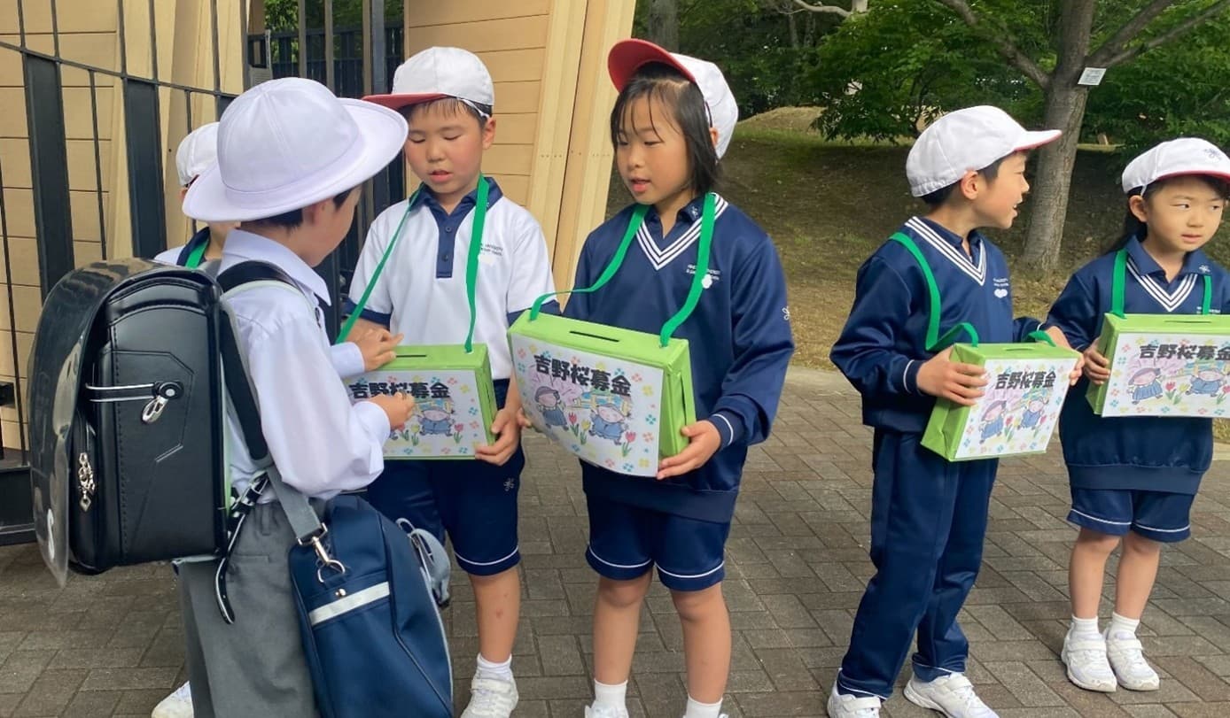 近畿大学附属小学校2年生が「吉野の桜募金運動」で自然保護に貢献　集めた募金を宿泊学習で「吉野の桜を守る会」に贈呈