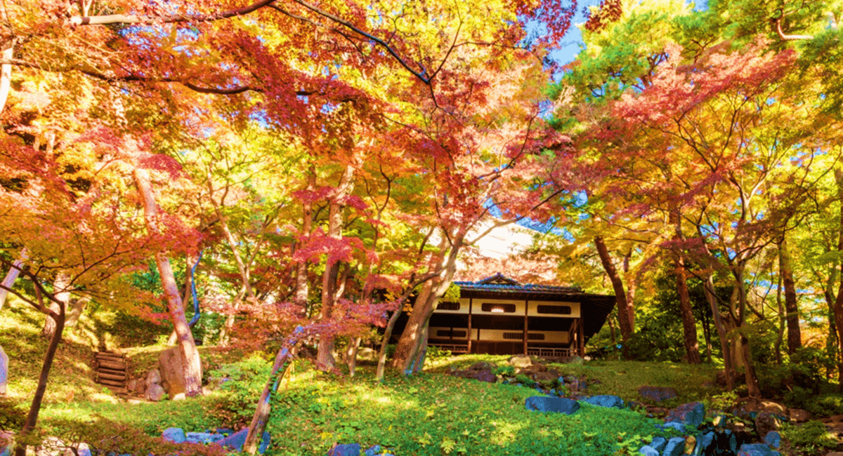 【殿ヶ谷戸庭園】11/18～「秋の催し」開催