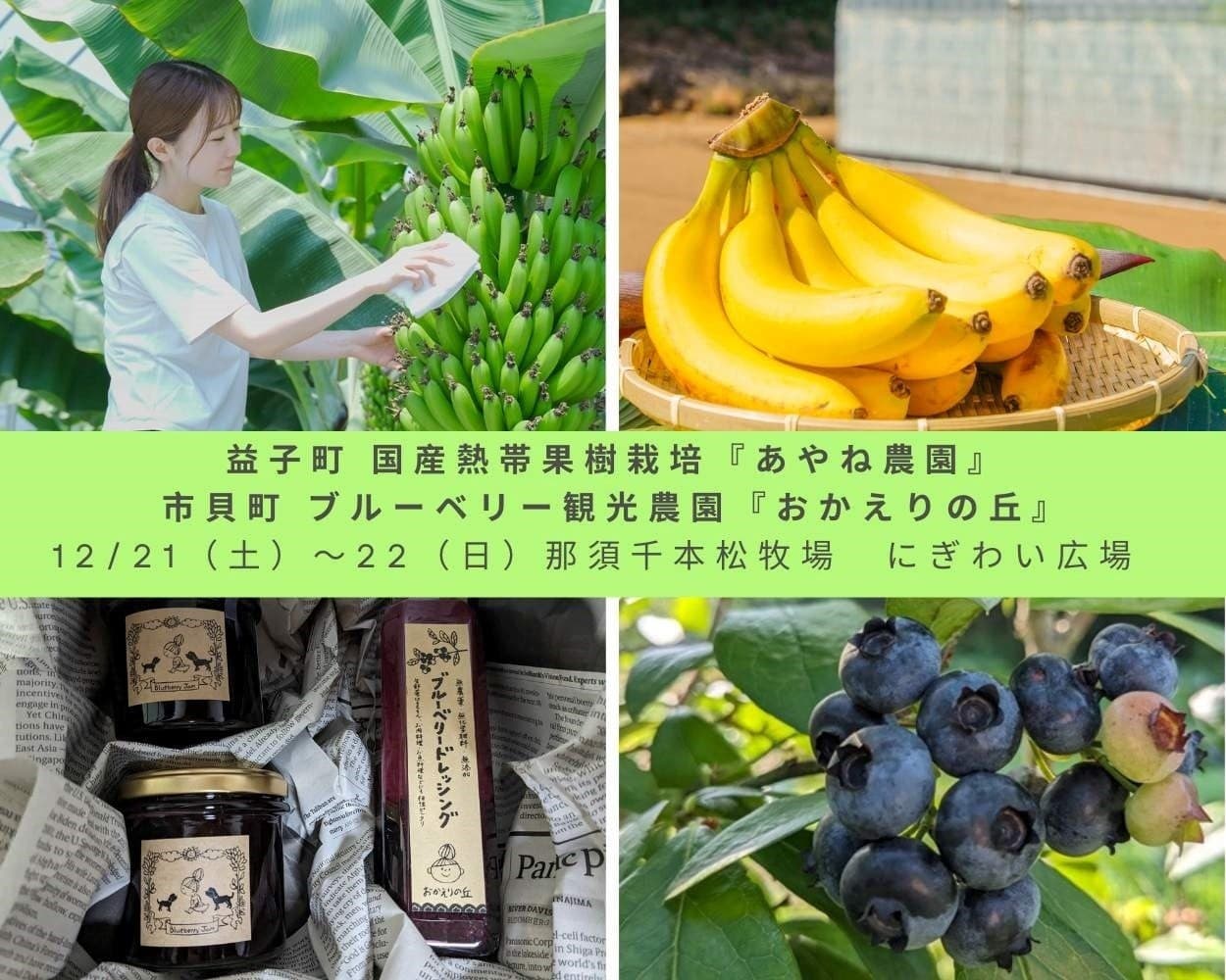 無農薬ブルーベリーと1本1,000円最高級バナナのコラボ！那須千本松牧場で味わう栃木の恵み 畑のマルシェでメリークリスマス！