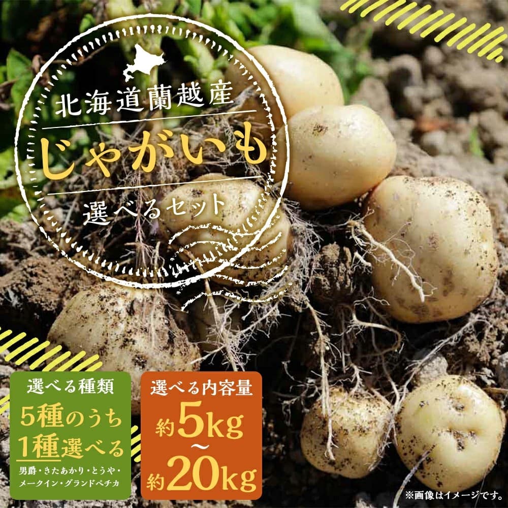 【北海道蘭越町ふるさと納税】期間限定！種類と容量が選べる北海道蘭越産じゃがいもが受付中