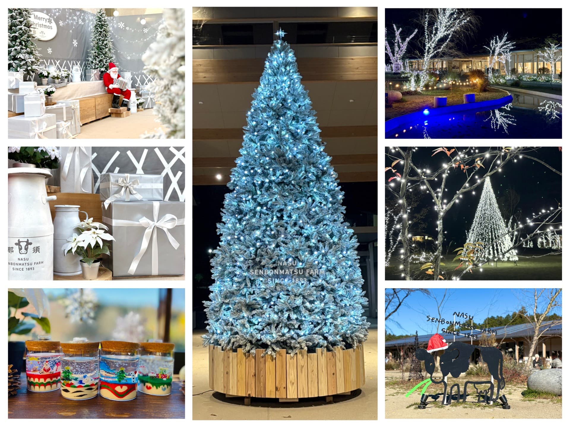 “白い光に包まれる冬の牧場” 那須千本松牧場で「ピュアミルククリスマス2025」開催