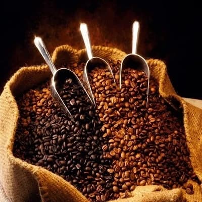 日本のコーヒー豆市場規模は2033年までに34億米ドルに達すると予測｜年平均成長率5.73%