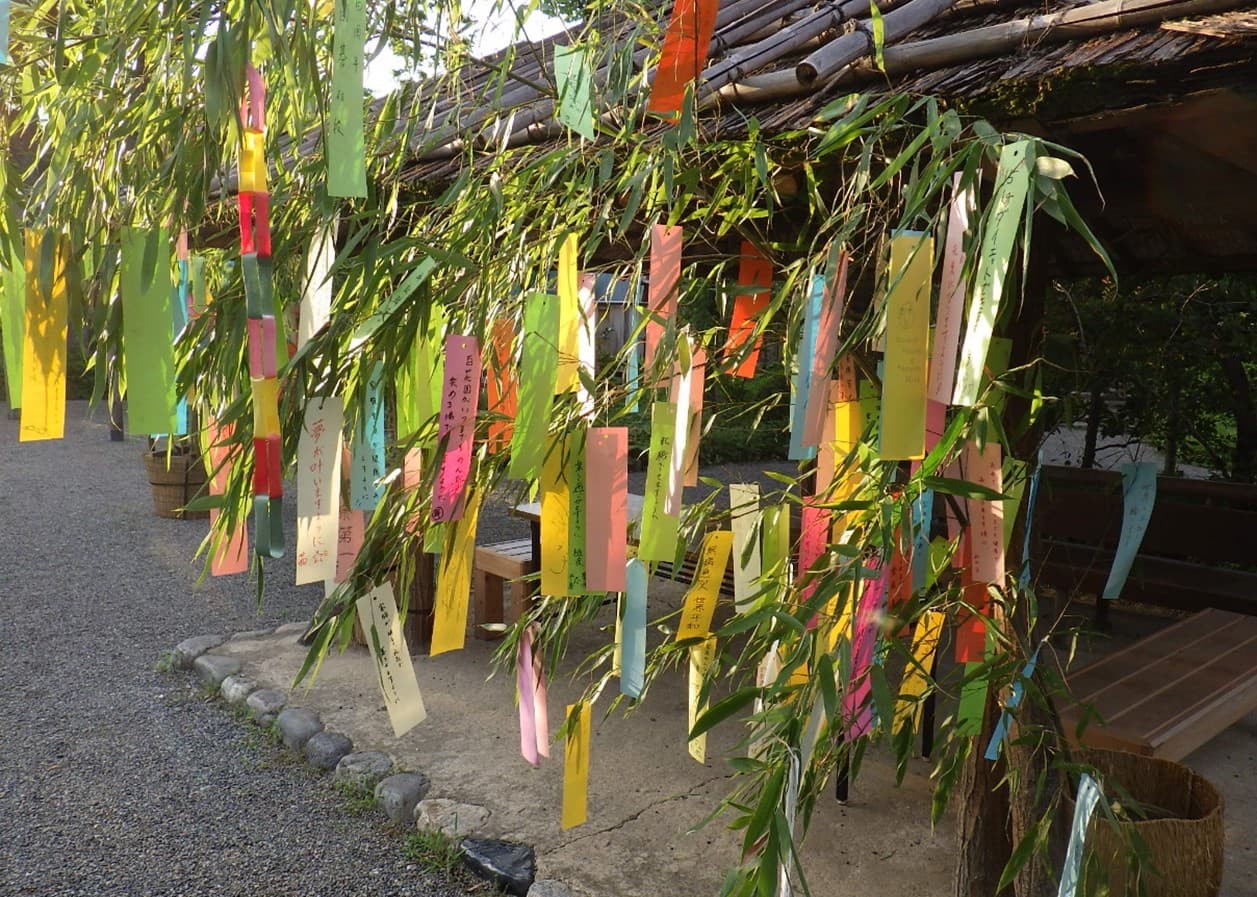 【都立9庭園】夏の風物詩イベント「都立庭園で七夕飾り」を実施します！７月１日(火)～７月７日(月)