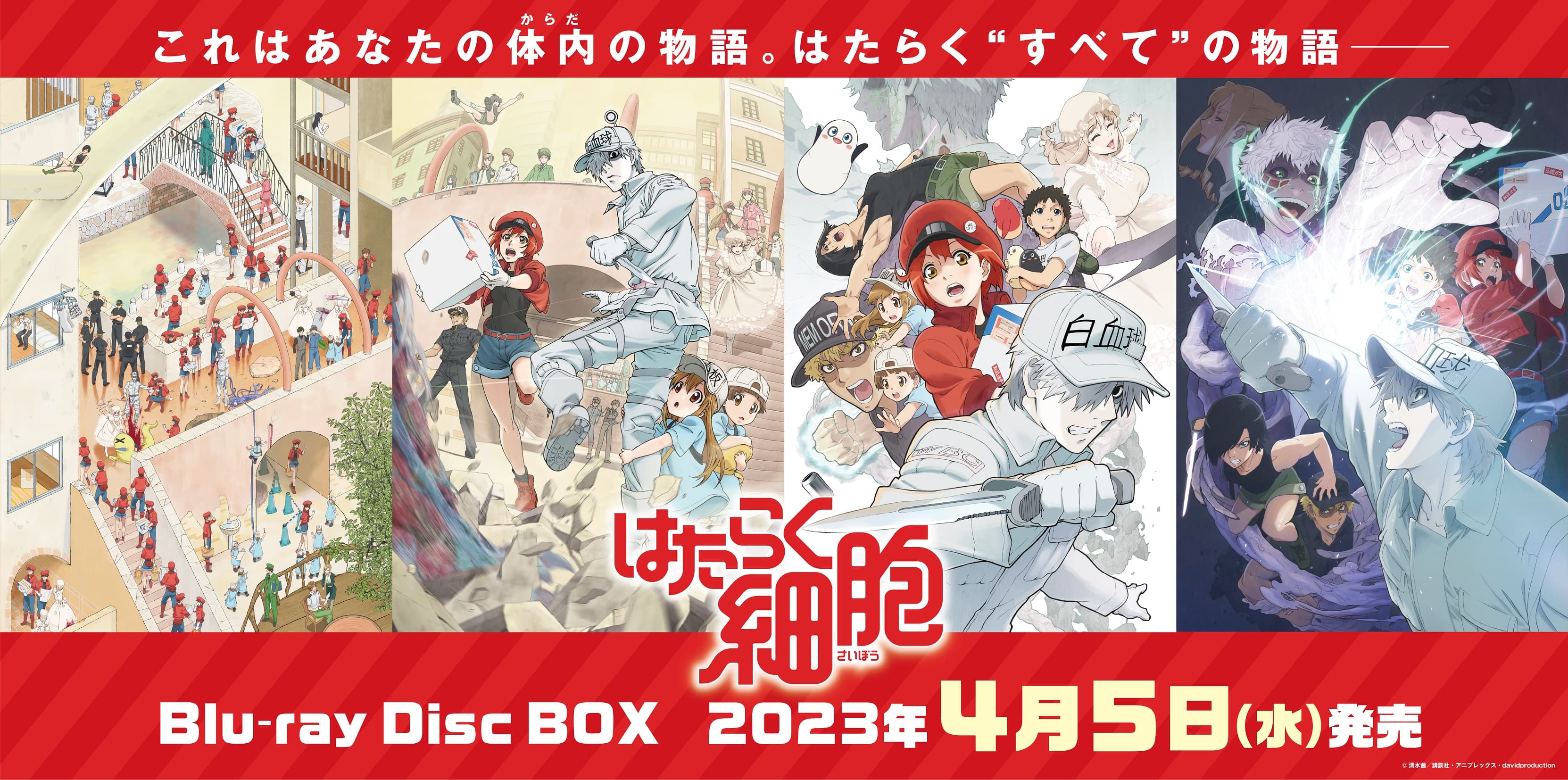 アニメ「はたらく細胞」Blu-ray Disc BOX発売決定！