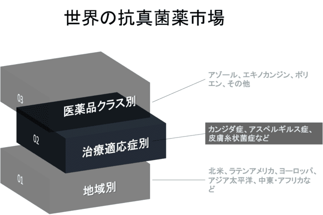 世界の抗真菌薬市場：医薬品クラス別（アゾール、エキノカンジン、ポリエン、その他）、治療適応症別（カンジダ症、アスペルギルス症、皮膚糸状菌症、その他）、地域別、国別―予測2022-2030年