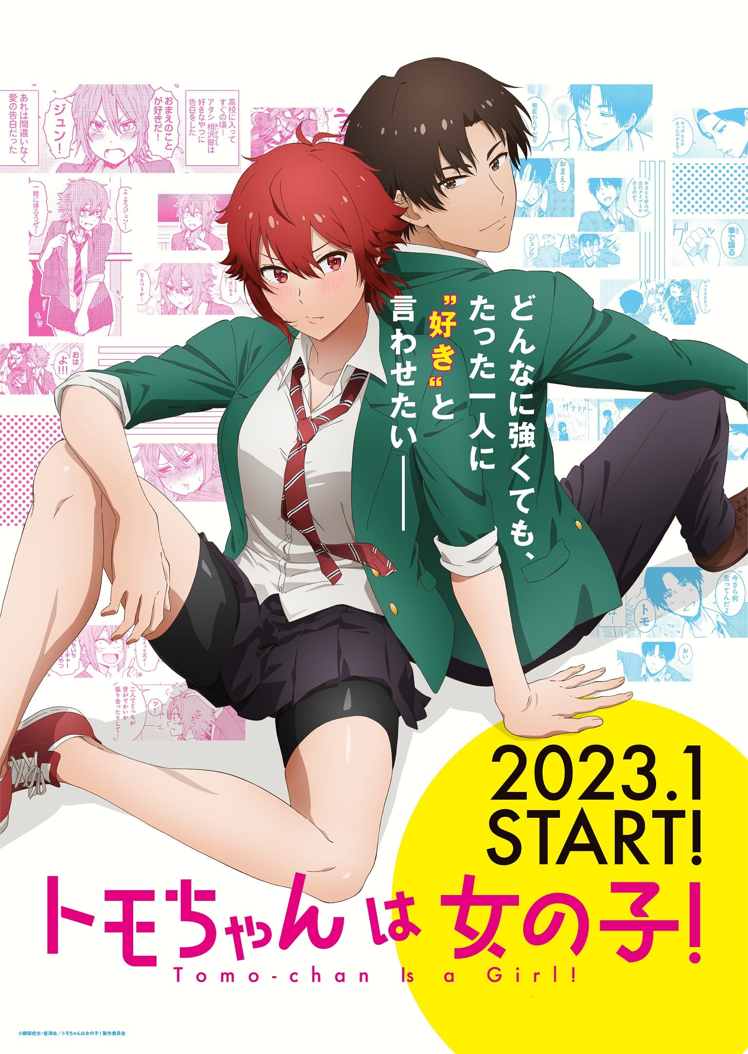「トモちゃんは女の子！」世界からの熱いラブコールを受け、2023年1月より待望のアニメ化！