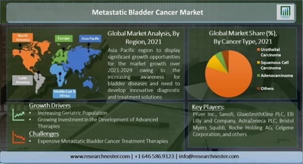 転移性膀胱癌市場ー癌の種類別（尿路上皮癌、扁平上皮癌、腺癌など）および治療の種類別（外科、化学療法、免疫療法、放射線療法、標的療法）-世界の需要分析と機会の見通し2021-2029年