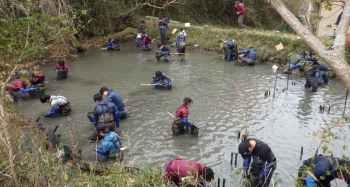 「近大里山ビオトープ」のため池で、水抜きによる環境管理を実施 絶滅危惧種ニッポンバラタナゴの繁殖状況を確認