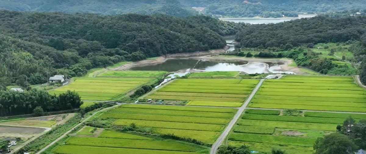 【ココトモファーム】「ノウフク・アワード2025」グランプリを受賞