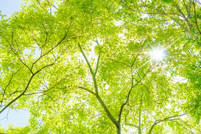医療現場の契約書・同意書を電子化、年間25㎏※の紙の使用量を削減｜株式会社ジェイメック
