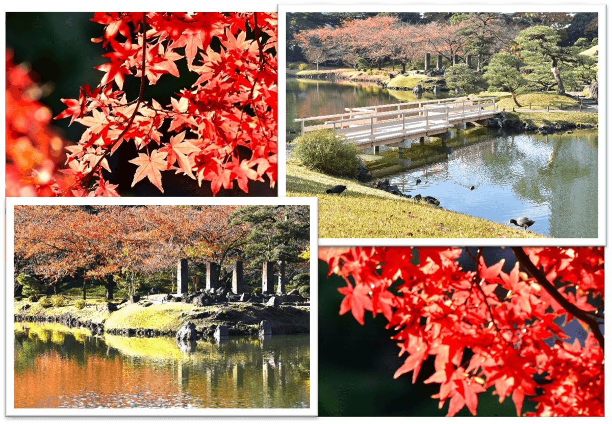 旧芝離宮庭園「秋の旧芝離宮～伝統芸能に親しもう～」11月１日（土）～11月３日（月・祝）開催