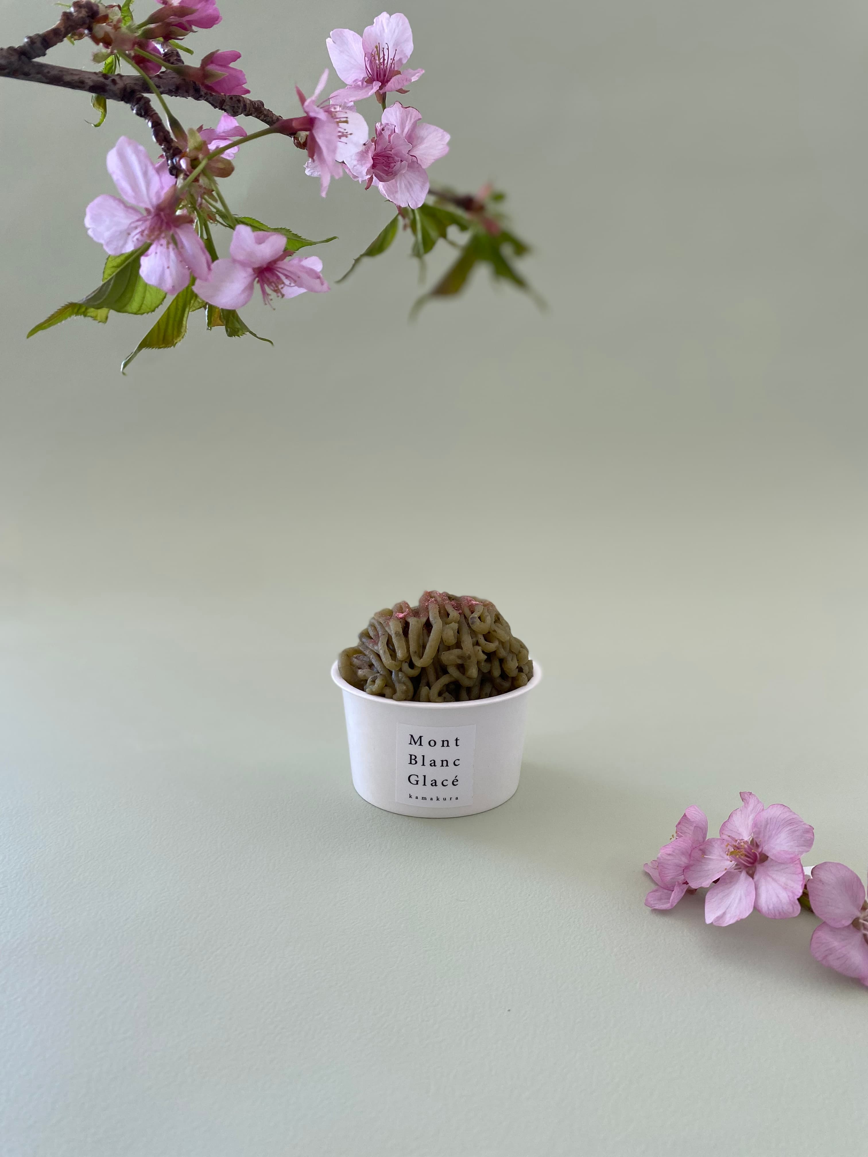 鎌倉のモンブラン専門店「Mont Blanc Stand」より オンラインショップ限定・春のモンブランアイス全5種類発売！