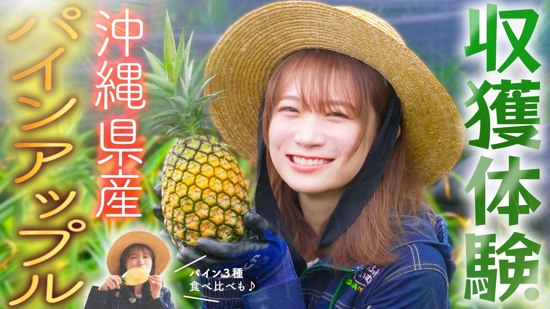秋元真夏が沖縄県へ！ 石垣島でパインアップルを収穫してまるかじり！ ～JAタウンで1000円OFFクーポンをプレゼント～