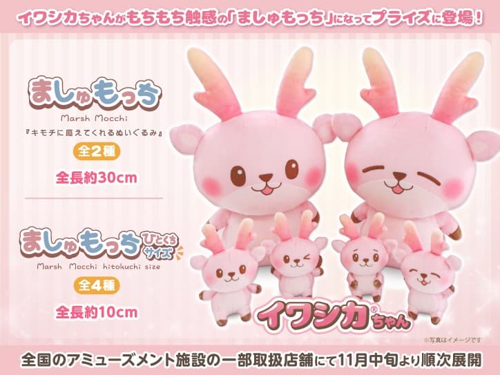 イワシカちゃんがプライズに！「ましゅもっち」「ましゅもっちひとくちサイズ」が全国のアミューズメント施設の一部取扱店舗で11月中旬から順次展開