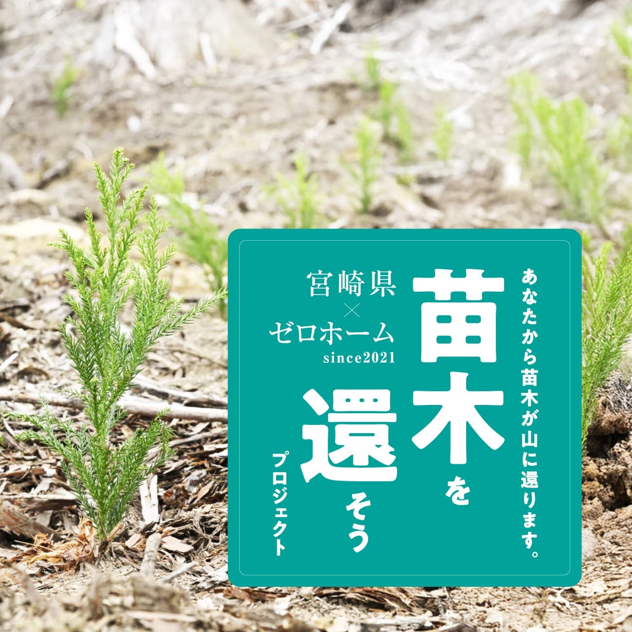 グッドデザイン賞を受賞！ゼロホーム「苗木を還そうプロジェクト」