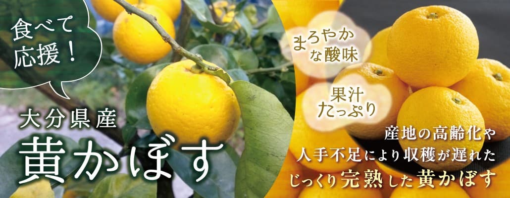 ＪＡタウンのショップ「まるっと完食おおいた」で 「黄かぼす　食べて応援企画」を実施中！