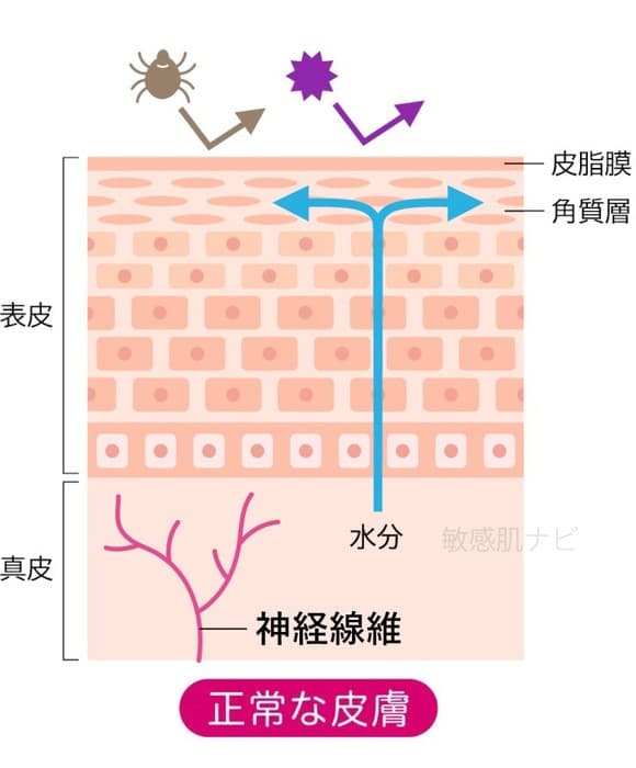 ⑧【敏感肌】「チクチク・ヒリヒリ」を鎮める─肌の神経に効くアプローチ3選を医学博士が解説