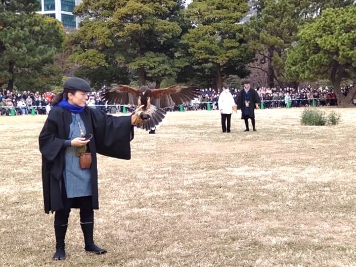 【取材案内】浜離宮恩賜庭園 「放鷹術（ほうようじゅつ）の実演」メディア内覧会のご案内