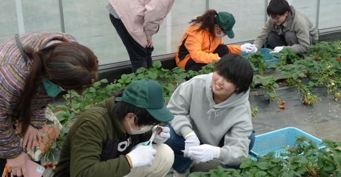 神奈川県議会　共生社会特別委員会の議員が近畿大学農学部を訪問　障がいのある方の農業参入の取り組みを視察