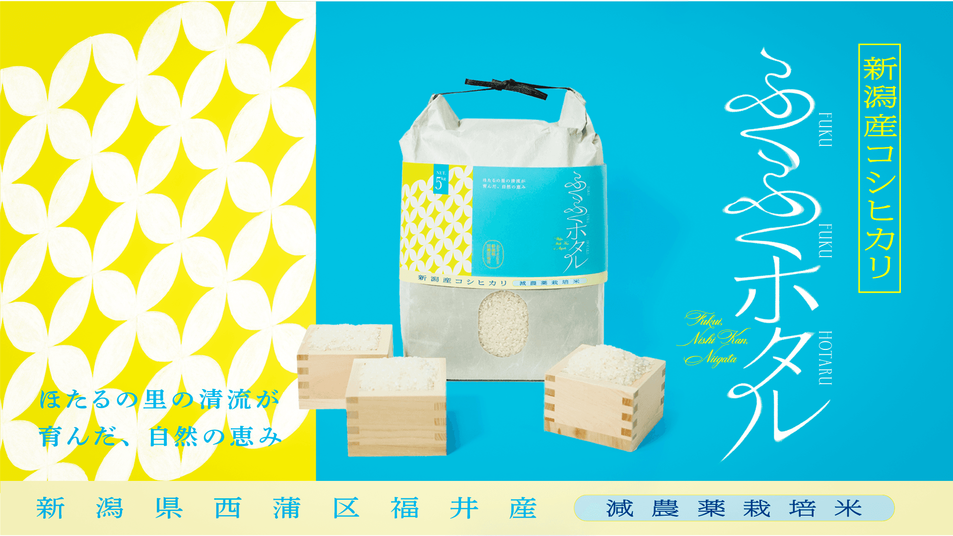 清らかな水と豊かな土壌が育む新しいコシヒカリ       新商品「ふくふくほたる」発売のお知らせ