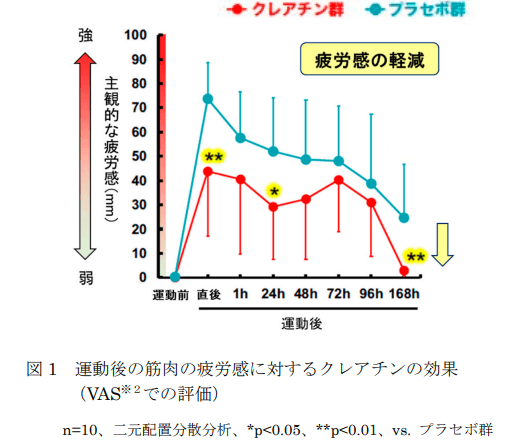 『クレアチンによる運動後に残る疲労感・筋肉の張り・筋力低下の軽減効果』を ヒト試験で確認
