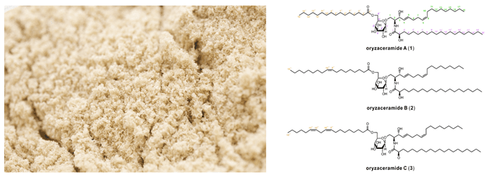 米糠の副産物から3種の新規化合物を発見し、その化学構造を解明 このうち1種が皮膚のバリア機能を高めることを明らかに