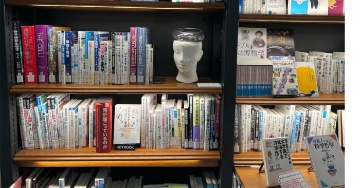 図書スペースをパビリオンに見立てた学生作品の展示会　「Expanded：図書とアート展」を開催