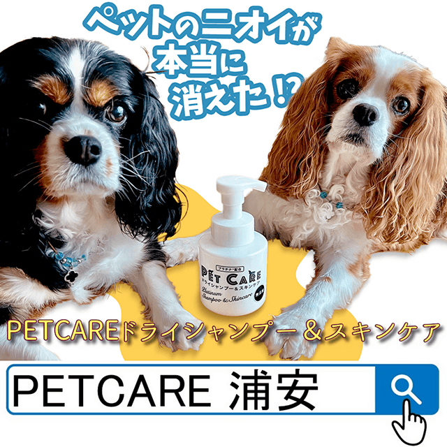 PETCARE（ペットケア）：有限会社メディケアネット