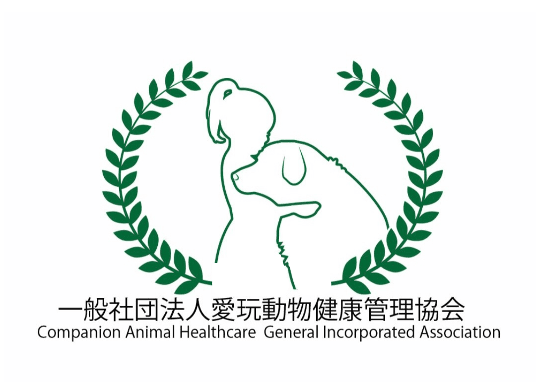 専門家主体の保護拠点拡大へ:動物福祉向上を掲げた犬猫シェルター増設クラウドファンディング稼働中