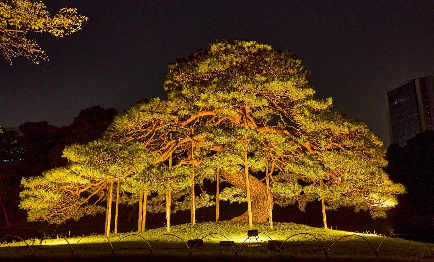 【取材案内】9/26 小石川後楽園「夜間特別開園　秋の夜長の小石川後楽園」メディア向け内覧会を実施します
