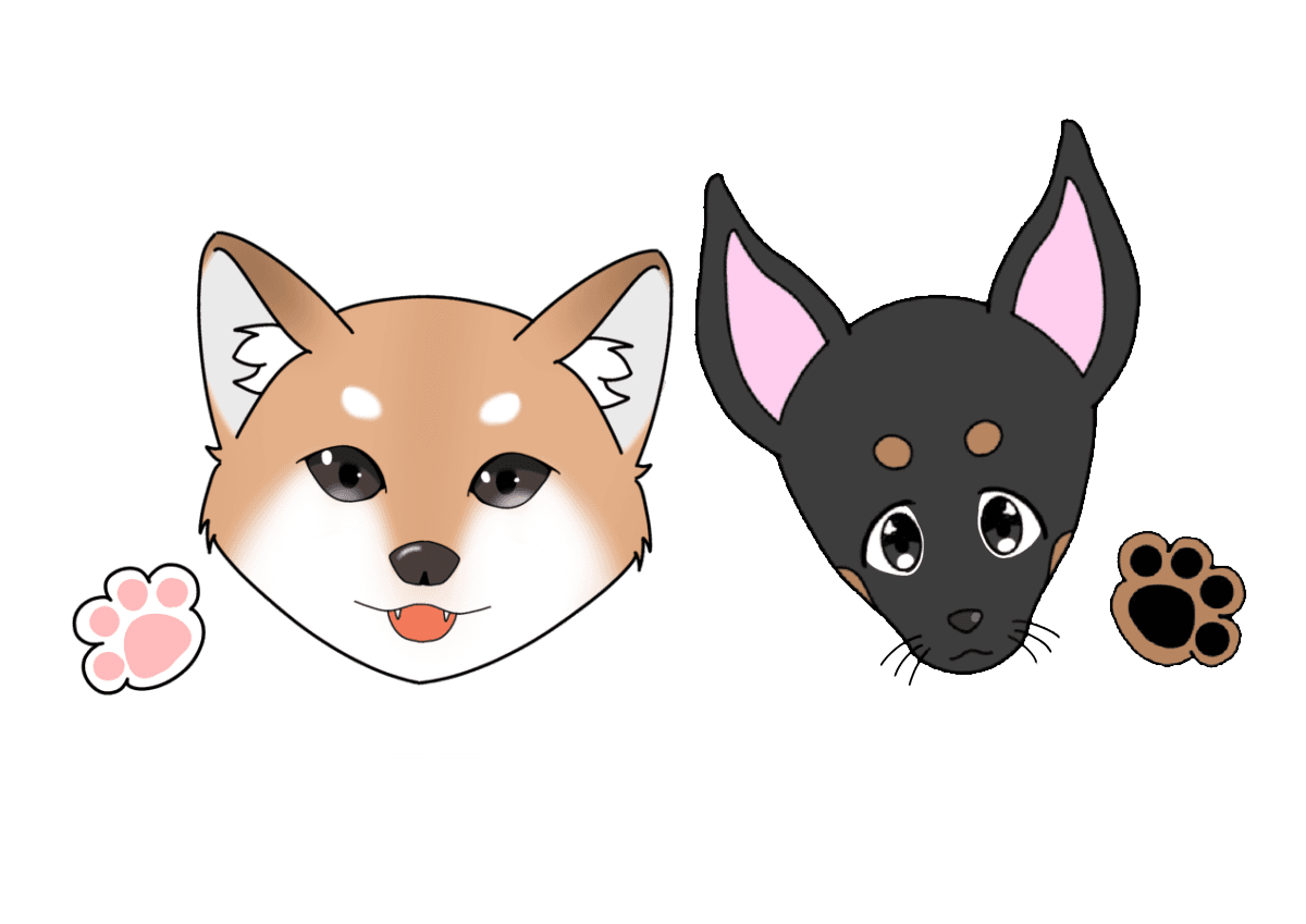 老犬ホーム暖家