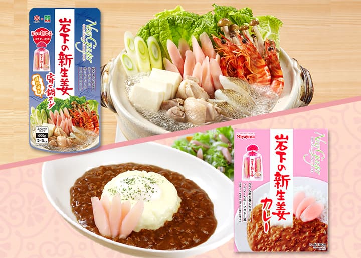 【8月23日発売】栃木の魅力がギュッと詰まったコラボ！宮島醤油×岩下食品『岩下の新生姜寄せ鍋スープ焼きあご仕立て』『岩下の新生姜カレー』