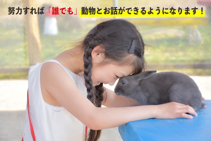 業界初！動物と話せるようになるための書籍出版を控えた アニマルカウンセラー協会では 心理学と動物学の指導を行うことで 半年間で大切なペットとお話ができる訓練をします