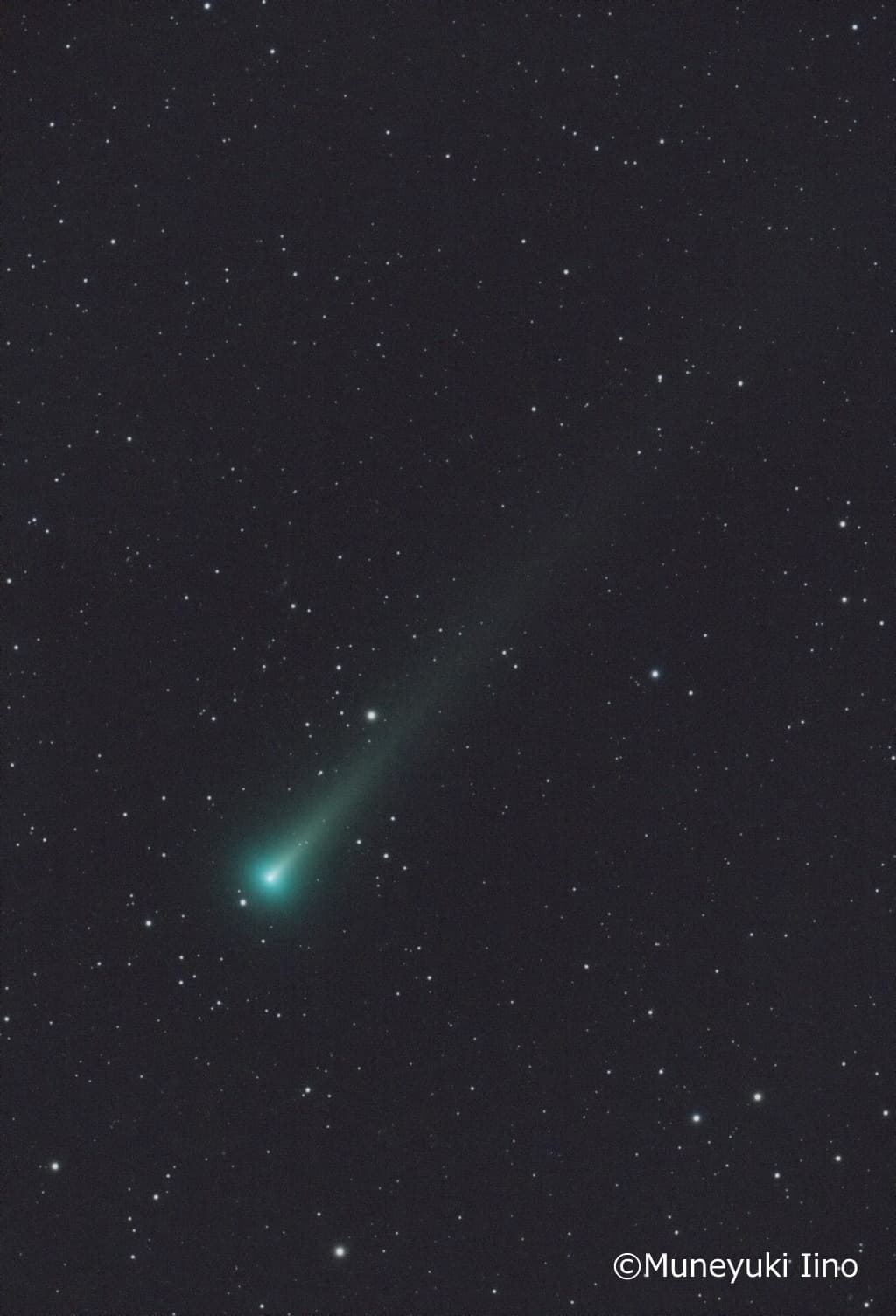 今見ごろのほうき星「レナ―ド彗星」を観察・撮影しよう！ ～おすすめ光学機器をご紹介～