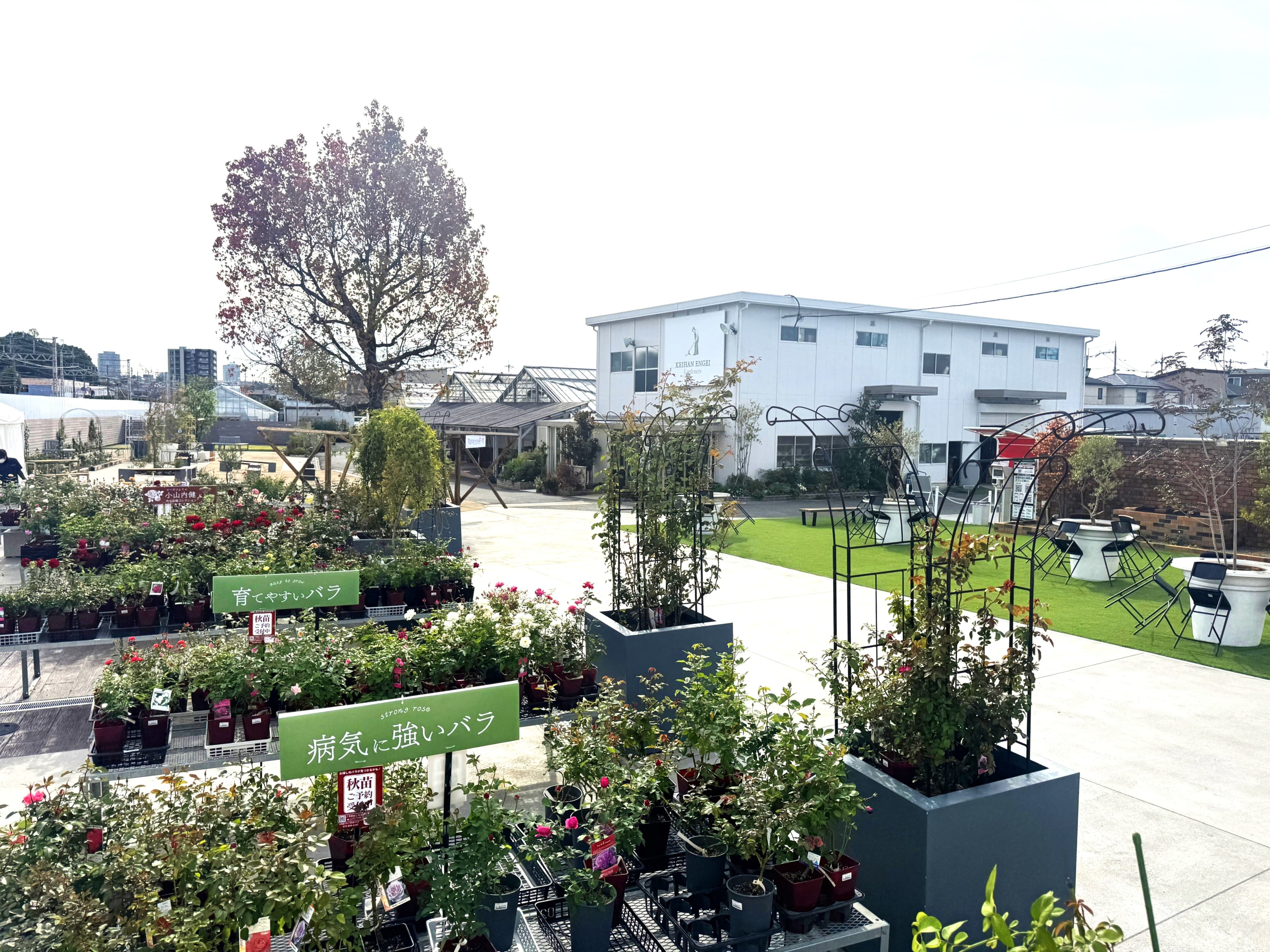 ～総合造園・園芸会社がプロデュースする体験展示スペース～  「京阪園芸ガーデナーズPARK(パーク)」 2025年10月24日（金）オープン！