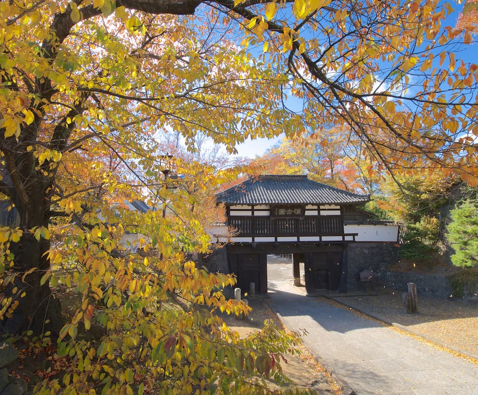 首都圏からのアクセス抜群！信州 小諸で、紅葉を先取り！ 平成最後の「小諸城址 懐古園 紅葉(もみじ)まつり」を開催