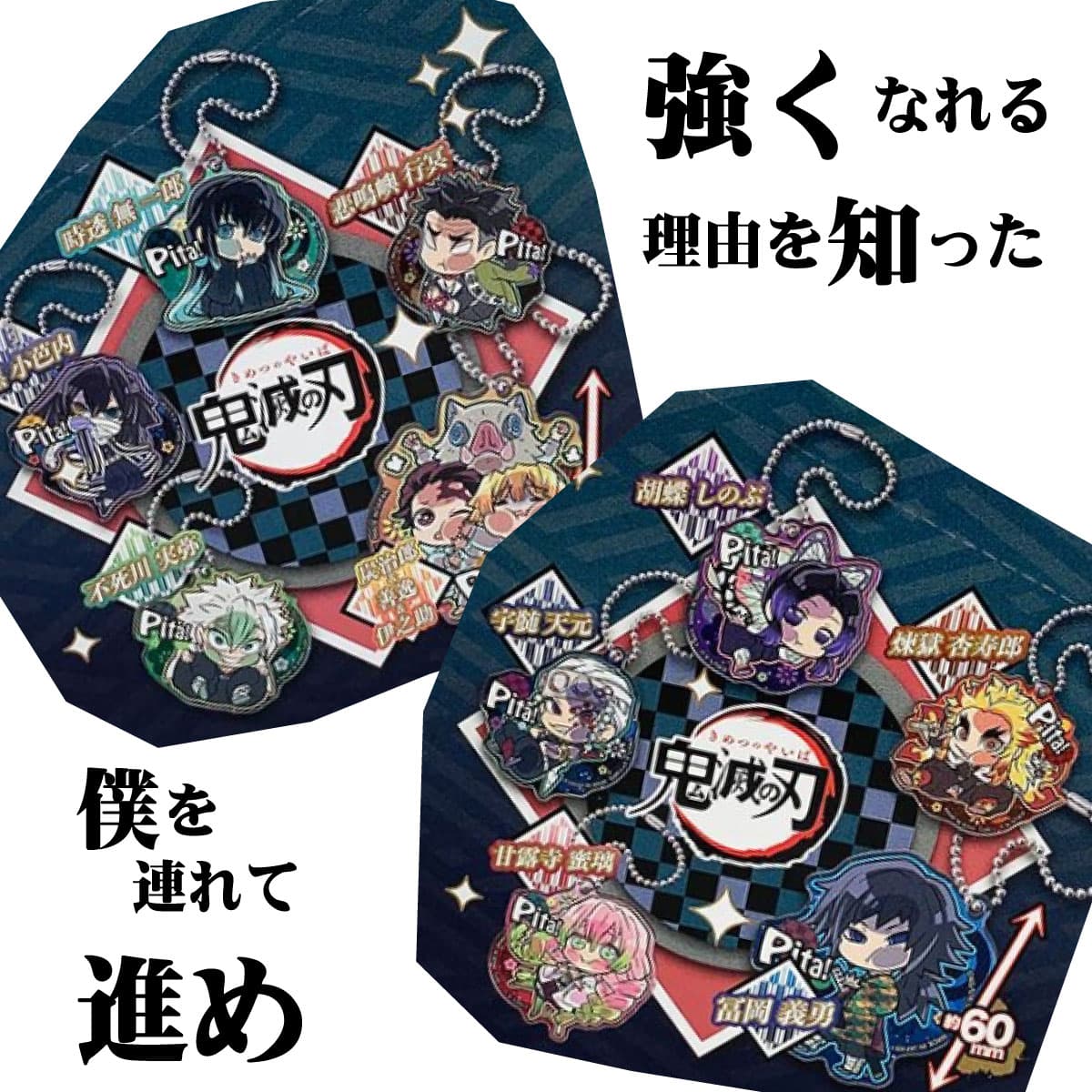 強くなれる理由を知った 僕を連れて進め、、鬼滅の刃のぴた！でふぉめコレクションBOXが運命を照らしてる