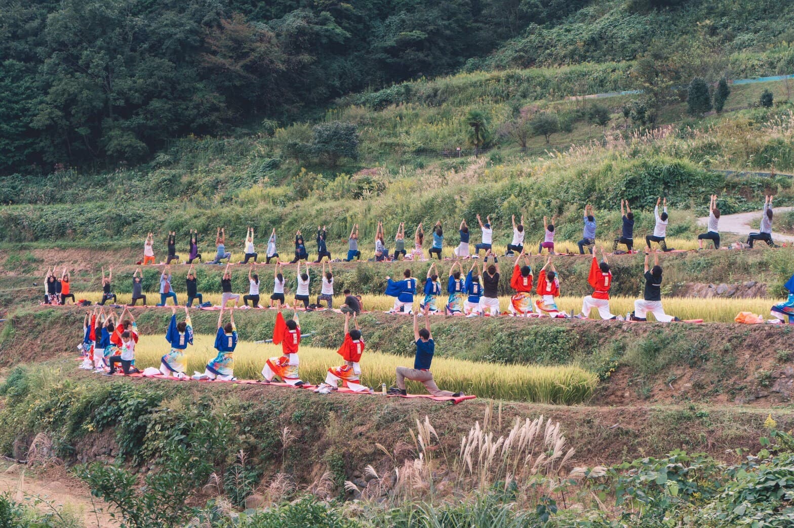 龍神の郷 上籾地区でコロナ禍を経て3年ぶり 「上籾龍神祭」 11月9日（土）開催