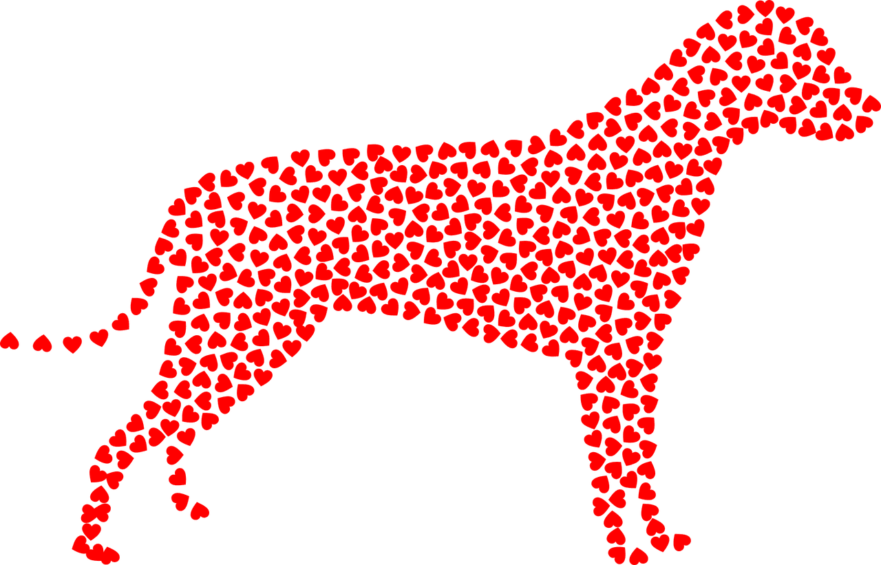 愛犬の毛はどうしてお手入れしないといけないの？