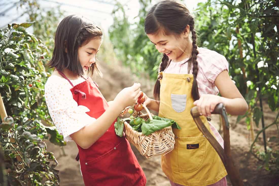 【リゾナーレ那須】野菜の収穫から納品まで、農家の仕事を体験できる「Farmer’s JOB ～夏休みの自由研究～」開催｜期間：2021年7月20日～8月31日の毎週月曜日、木曜日