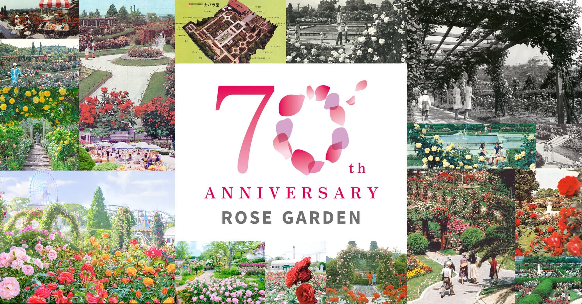 今年で70周年！ お客さまへの感謝の気持ちをこめて秋も開催決定！「秋の70thローズフェスティバル」を開催！