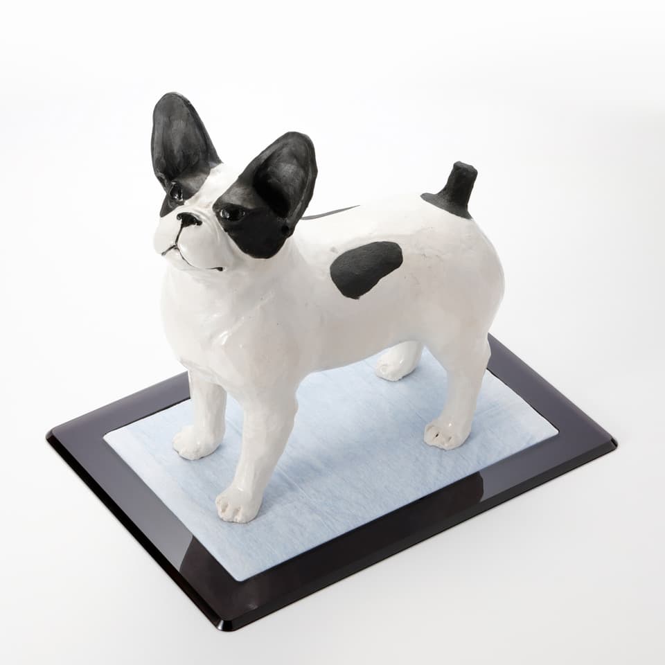 デザイン会社がつくった・犬用トイレ「Flat」・アクリル犬用トイレ
